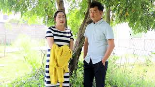 thaiv vaj thiab paj tag lis kwv txhiaj nkauj nraug tsis tau 1/10/2019