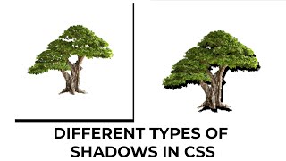Mastering Shadows in CSS: Box Shadow vs. Filter Drop Shadow - Different types of css shadows