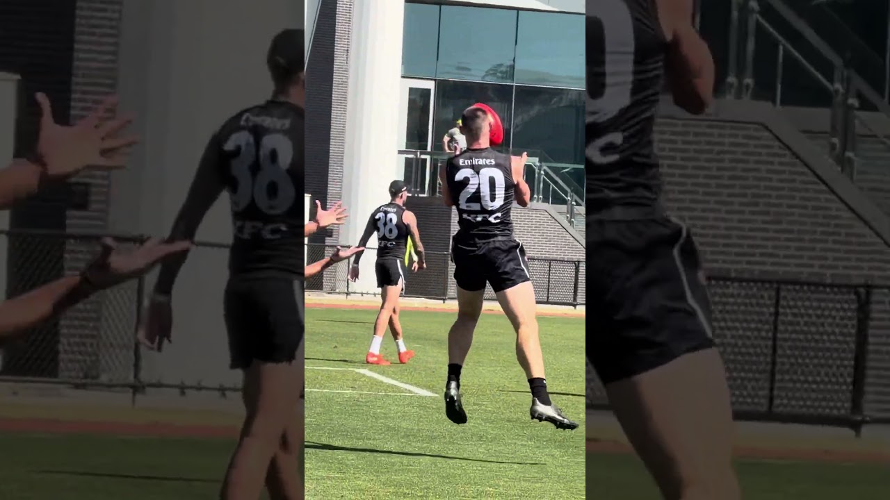 23-летний Бен Де Болфо официально признан одним из перспективных игроков VFL в этом сезоне…