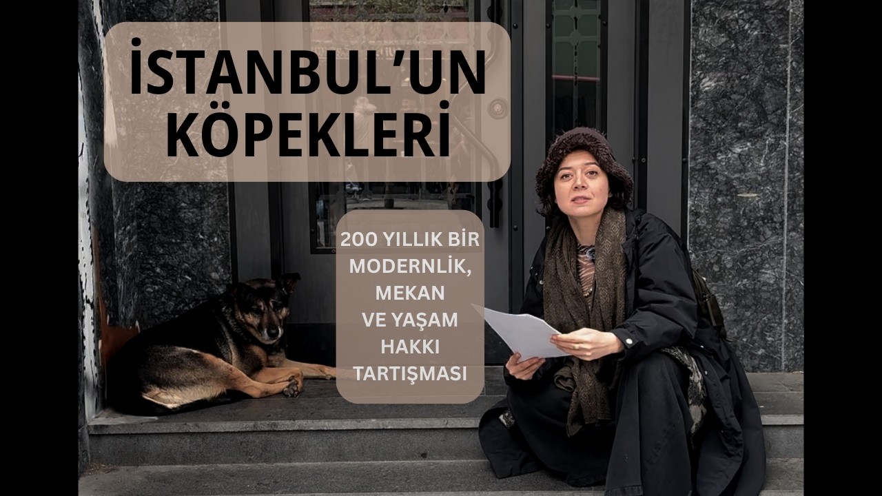 İSTANBUL'UN KÖPEKLERİ YAŞAYABİLİR Mİ? 200 YILLIK BİR MESELE