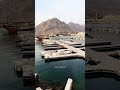 مدينة شعم في إمارة رأس الخيمة مدينة شعم في إمارة رأس الخيمة