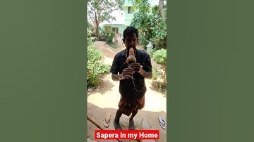 Thumbnail of A BIG SNAKE caught by a Sapera in my Home#Snakecharmer#nagin#bin#analysis