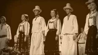 Vignette de la vidéo "Danțuri de la Stâna / Dances from Stana village"