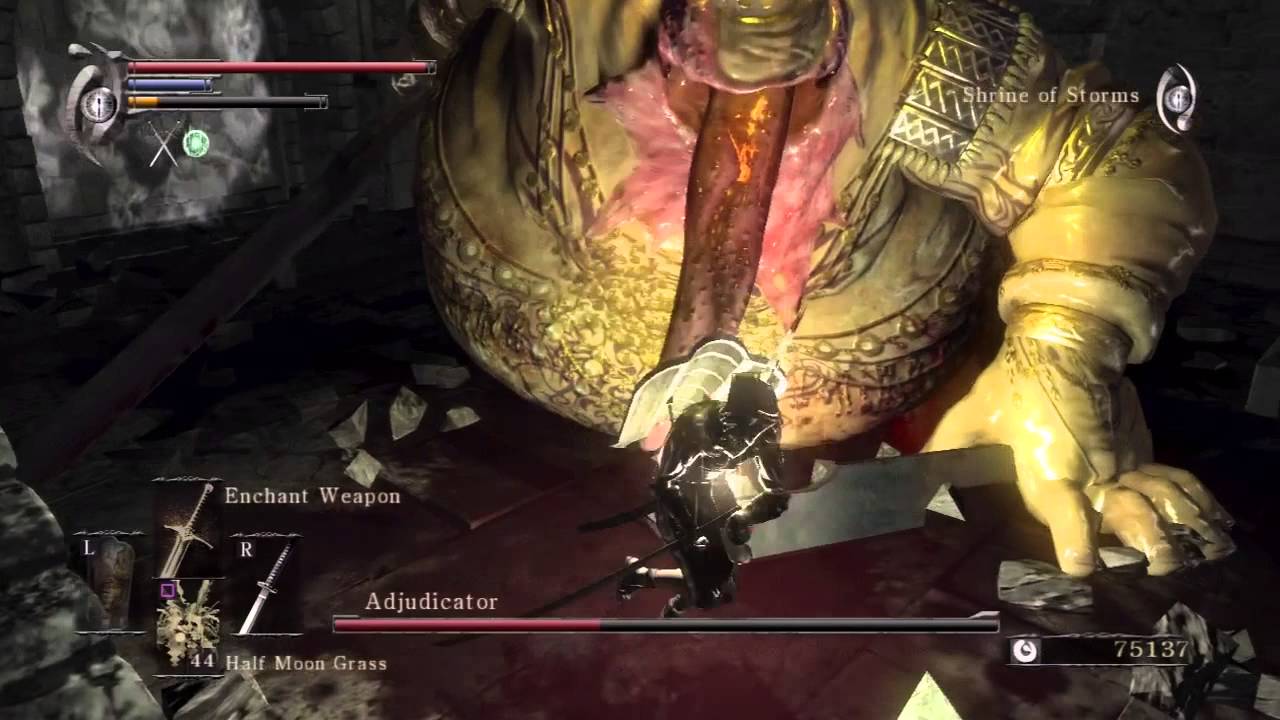 Demon's Souls, How To Beat Adjudicator