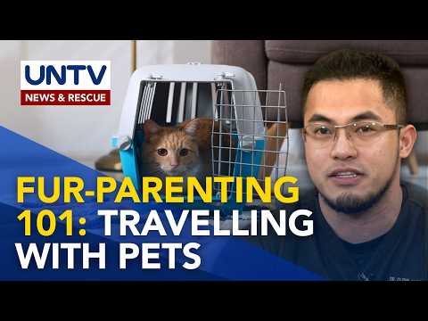 Safe Pet Travel Tips: Paano Magdala ng Pets sa Biyahe? | Good Morning Kuya