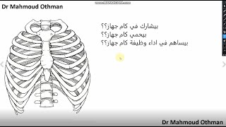 Thoracic Cage (Rib Cage)  - القفص الصدري