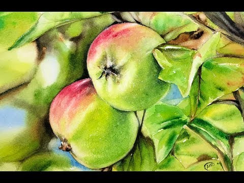 Green Apples in Watercolors Painting Tutorial