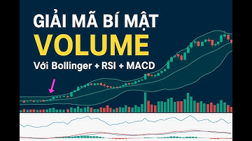 Bí mật Volume: Vũ khí thầm lặng giúp trader bắt đỉnh đáy FOREX/XAUUSD