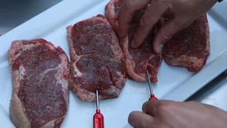 5 AWESOME Things You Can Buy ONLINE - BBQ Gadget