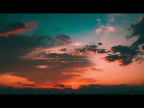 القارئ يوسفي عمر سورة لقمان 