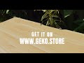 Geko Equipment Store Bali. Rent or Buy