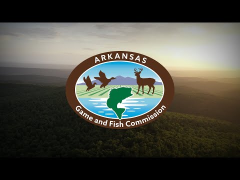 Arkansas Game and Fish Commission Meeting - April 11, 2024