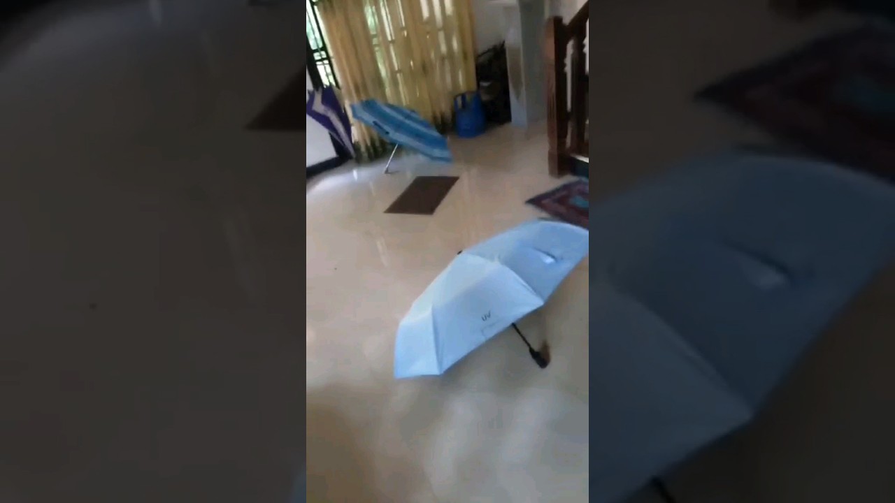 Multi-color Travel,Rain,Sun Windproof Umbrella|Automatic Open And Close 