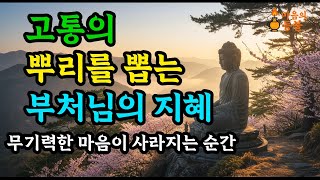 무기력한 마음이 사라지는 부처님의 지혜