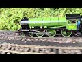 Aster Tigerli and Thompson B1 Mayflower at a garden railway