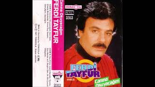 Ferdi Tayfur - Uzadı Geceler (Türküola 2312) (1987) Resimi