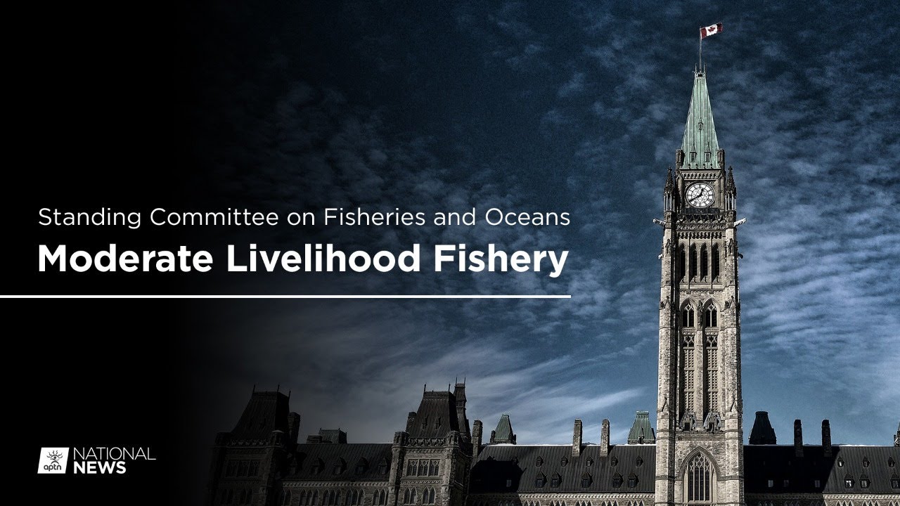 Standing Committee on Fisheries and Oceans discusses the moderate livelihood fishery | APTN News