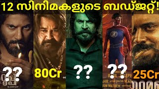 മലയാളത്തിലെ വമ്പൻ സിനിമകളുടെ ബഡ്ജറ്റ്! 12 Malayalam Movies Budget #Mammootty #MinnalMurali #Mohanlal