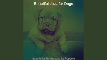 Pulsating Backdrops for Sweet Dogs