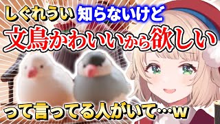 【しぐれうい】自分よりも文鳥(ペット)の方に需要がありそうで憤慨するういママ【イラストレーター/Vtuber/切り抜き】