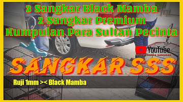 Sangkar Kotak 37x43 Canary Cucak Ijo | Surya Sangkar Shop Pusat Sangkar Paling Komplit Murah Brkwlts