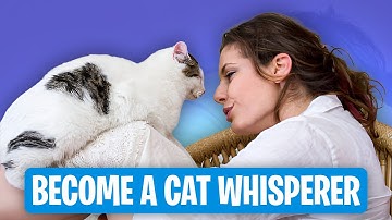 Unlocking the Mystery: How Cats Communicate