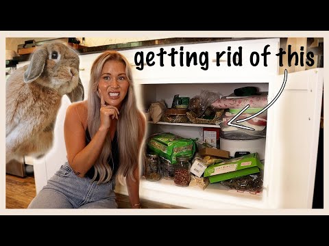 Getting Rid of Cinnabun's Stuff... (sorry CB)