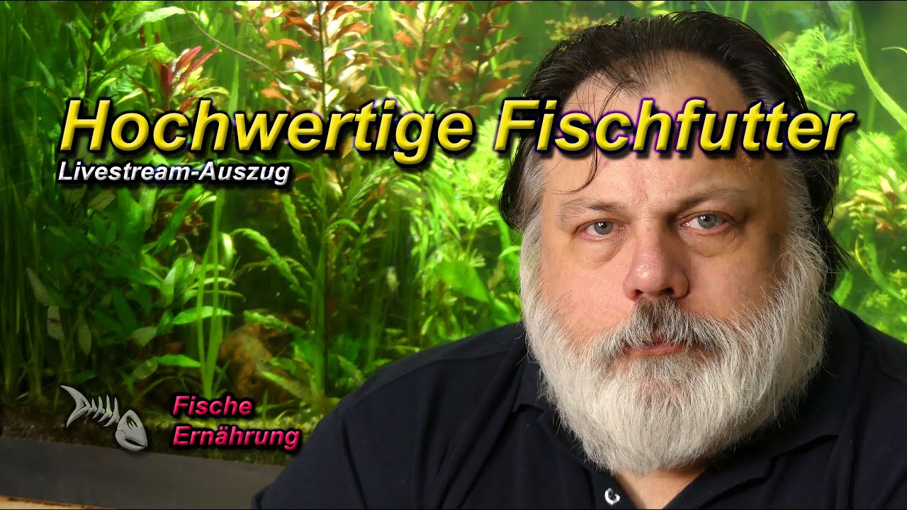 ERNÄHRUNG - HOCHWERTIGE FISCHFUTTER und was sind keine hochwertigen Futtermittel