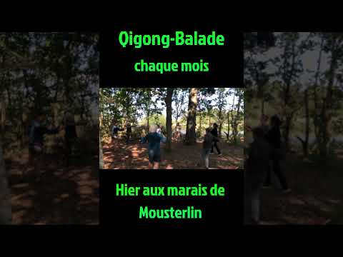 🌿Qigong- Balade chaque