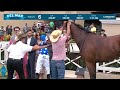 Bag's Gold wins race 6 at Del Mar 8/14/25