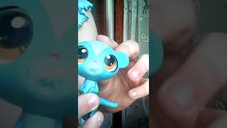 С Кошкой Мау С Кошкой Мау