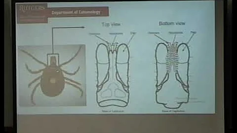 Ticks, Lyme Disease and Other Tick-Borne Diseases Seminar 05/06/19