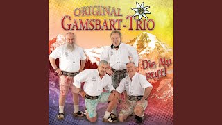 I brauch koa Fazebock - Orig. Gamsbart Trio