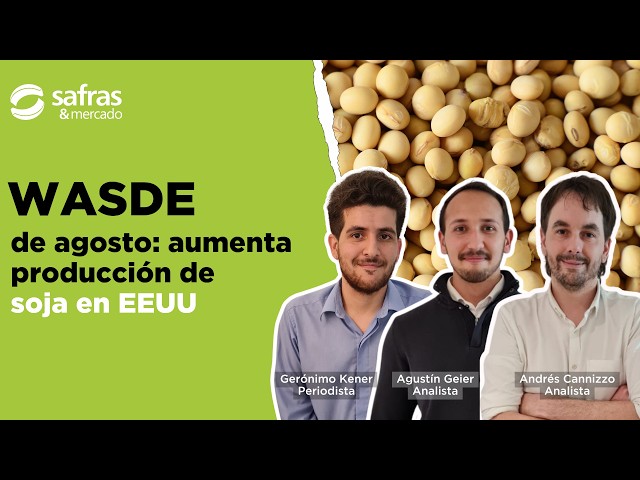 WASDE de agosto: aumenta producción de soja en EEUU