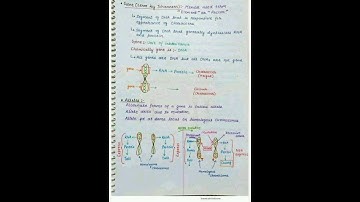 HSC Biology Genetics