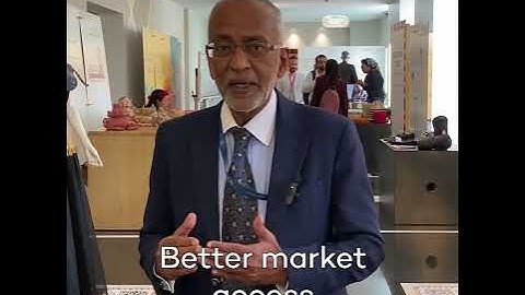 Inside WTO Public Forum 2024: How can trade boost sustainable development in developing countries?