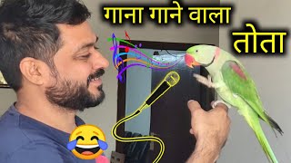 Download Lagu Talking parrot Pablo Playing,Singing and Dancing with Papa- Mummy MP3 Download Lagu Talking parrot Pablo Playing,Singing and Dancing with Papa- Mummy MP3