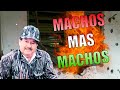 MACHOS MAS MACHOS #4 EL HOMBRE QUE PROTEGIO SU RANCHO DE SIC***OS
