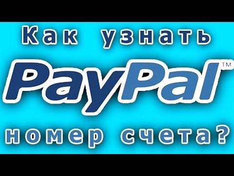 Как узнать номер счета в PayPal