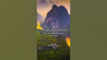 ﴿وَما لَنا أَلَّا نَتَوَكَّلَ عَلَى اللَّه وَقَدْ هَدانا سُبُلَنا﴾تلاوة مميزة للقارئ رعد محمد الكردي