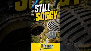 Why Storm Drains Don’t Fix Soggy Yards