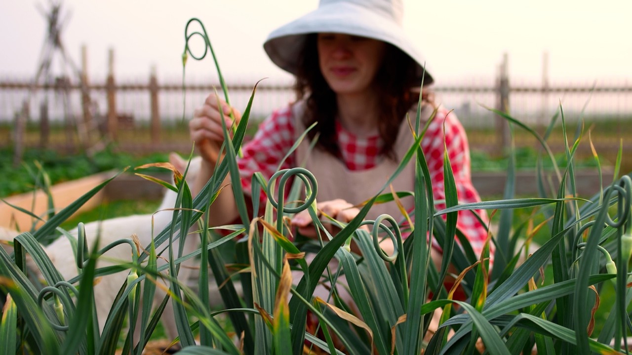 Cozy Summer in the Countryside: Early Morning Farm Routine & Cooking Outdoors 🌿