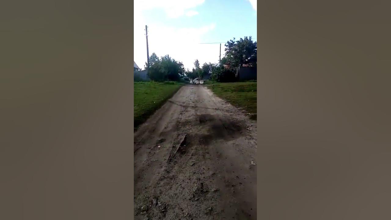 самое лучшее видео в Ютубе - YouTube