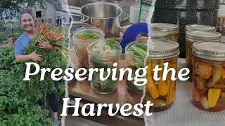 Preserving the Harvest | Carrot Pickles + Giardiniera