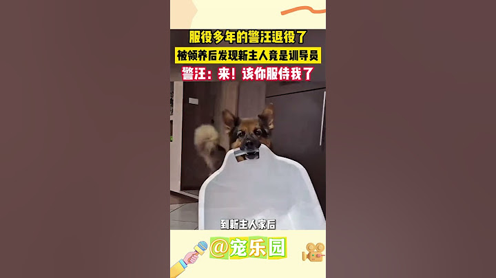 服役多年的警汪退役了 被领养后发现新主人竟是训导员 警汪：来！该你服侍我了 #宠乐园 #轻松一刻 #动物