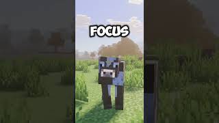 BEST VIBRANT VISUAL SHADERS  #minecraft
