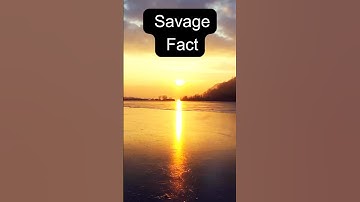 Savage Facts  #ytshorts #short#shortsfeed #shorts #trading #trending