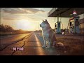 秋田犬が4年間同じ場所で飼い主を待ち続けた… そしてある朝、奇跡が起こった！