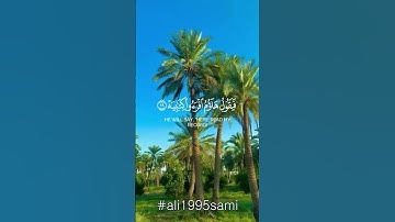 فأما من أوتي كتابه بيمينه فيقول هاؤم اقرءوا كتابيه ﴾ ما تيسر من سورة الحاقة | الشيخ د. محمد اللحيدان