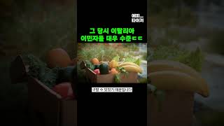 그 당시 미국에서 이탈리아인 이민자들이 받았던 대우